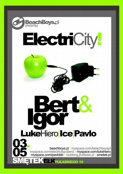 electricity 2008